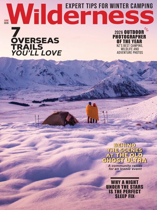 Cover image for Wilderness